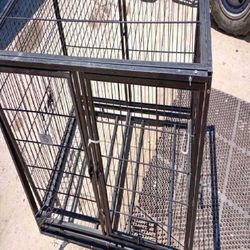 front woman Sturdy Pet Enclosures – Safety and Rest for Your Friend