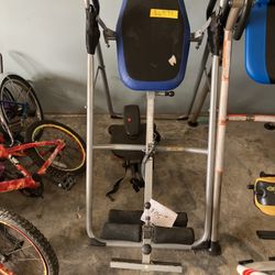 Body Champ  Work Out 