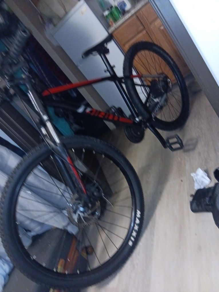 Giant Disc 29" Brakes