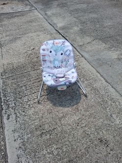 Baby Bouncer