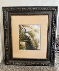 Framed Peacock Wall Art