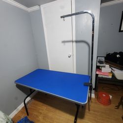 Large Grooming Table 