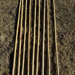9 Bamboo Canes