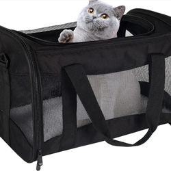 Cat Carrying Case