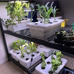 Everything for Hydroponics, indoor or outdoor grow