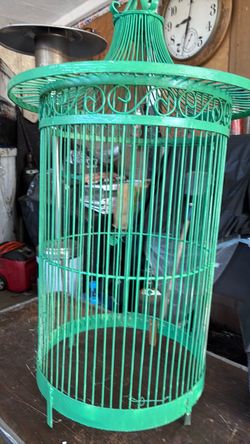 Bird Cage