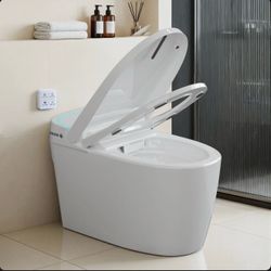 Smart toilet