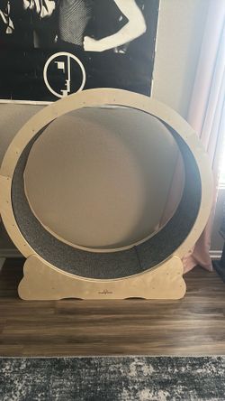 Homegroove cat wheel