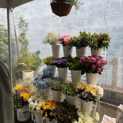 Four Tier Flower Basket Holder