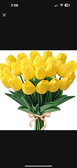 New 20 Yellow Tulips