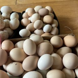Farm Fresh Eggs 