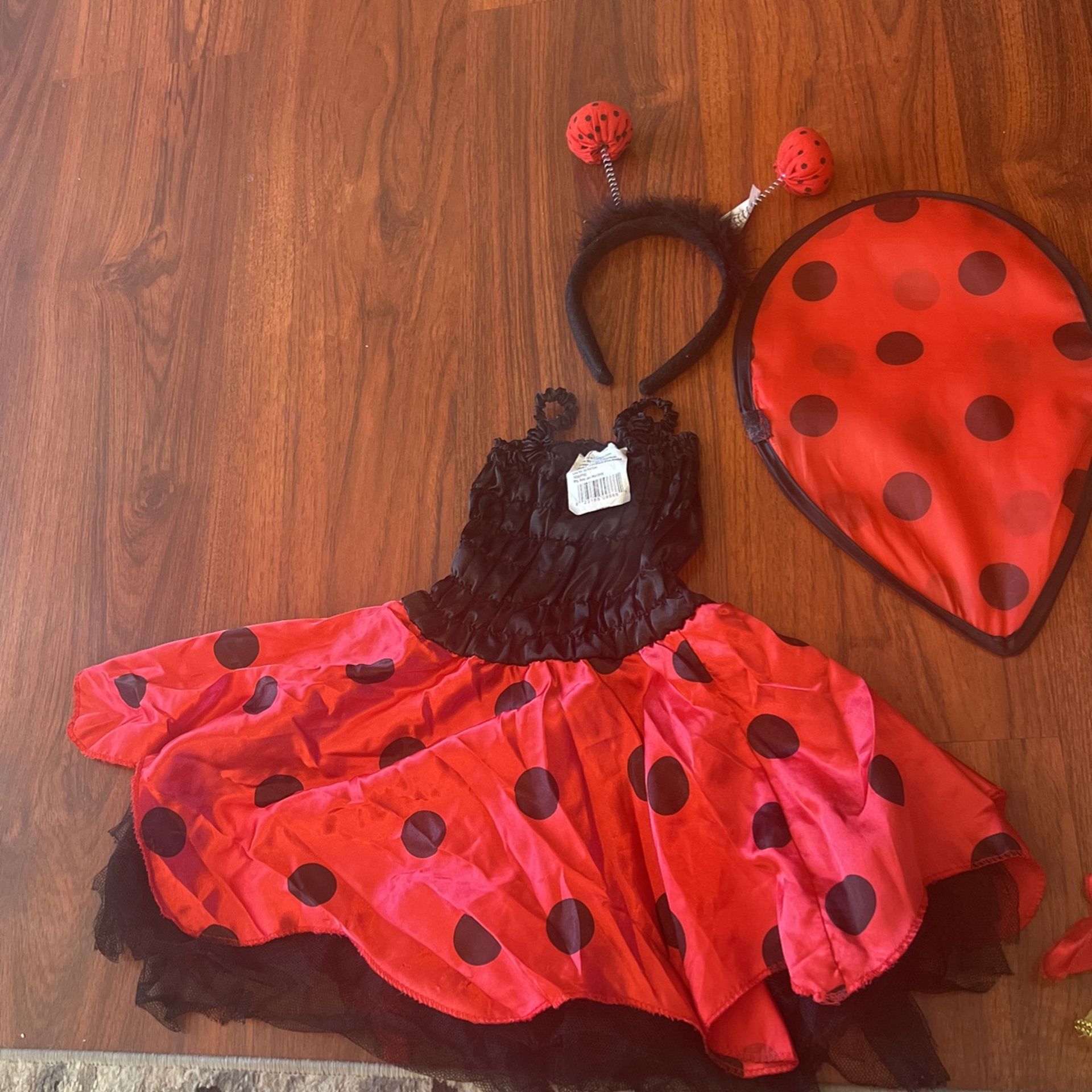 Halloween Costume 