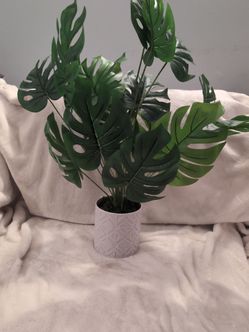 Artificial Monstera Plant in White Pot