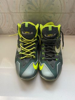 LeBron Dunk Man 11 Size 8.5