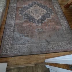 Area Rug 