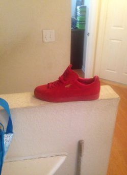 Pumas size 10