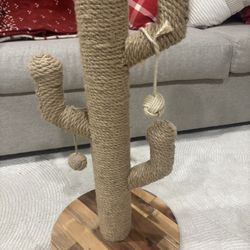 Cat Scratcher 