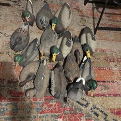 Duck Decoys !! 