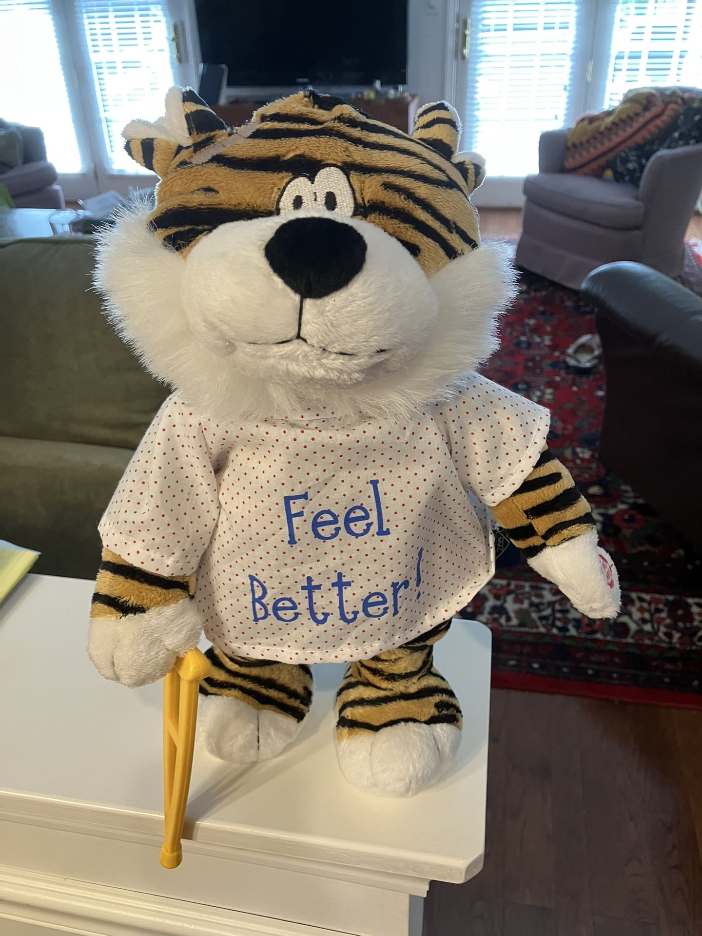 Tiger plush musical with moves- by the Petting Zoo