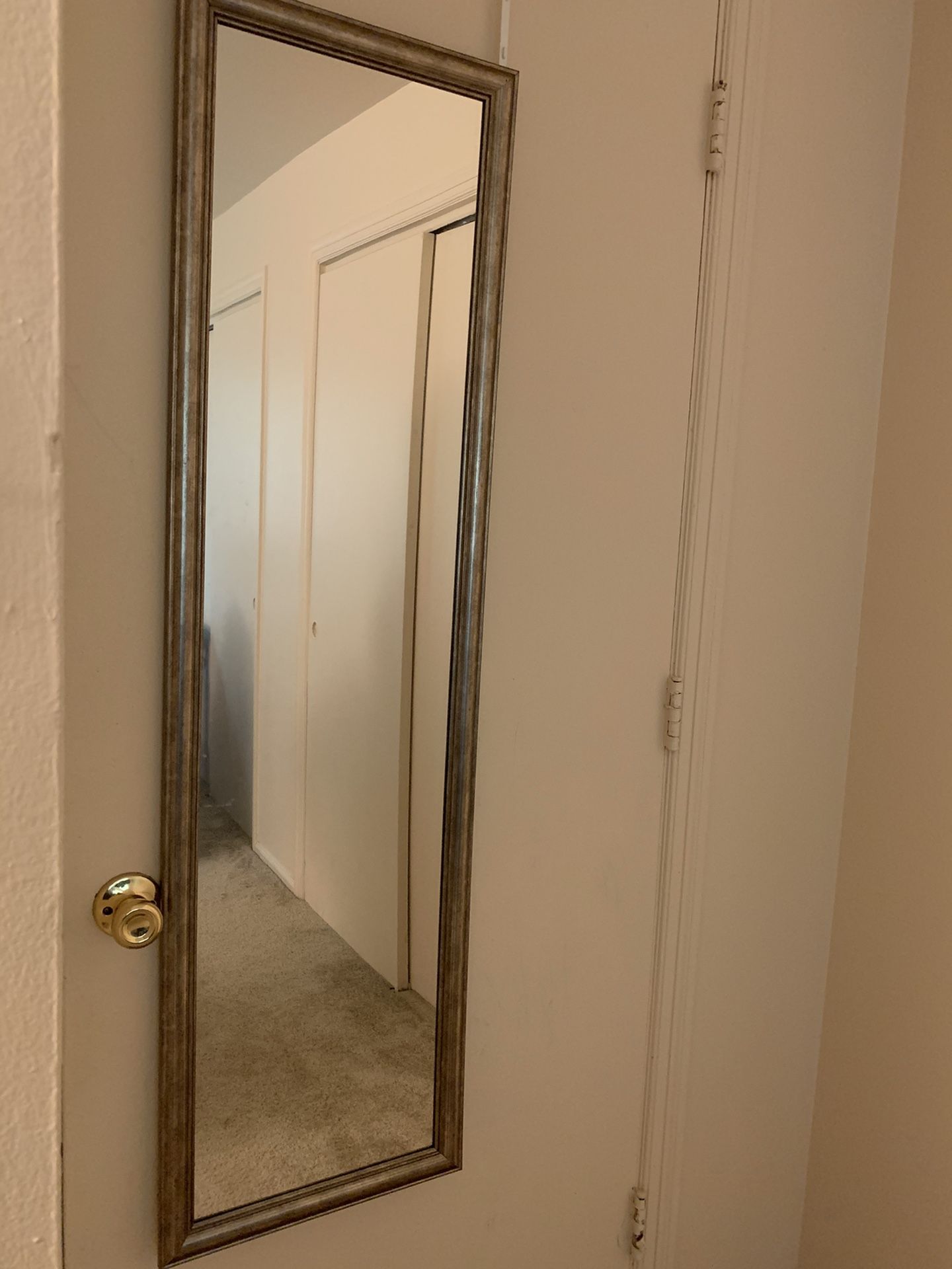 Door hanging full mirror