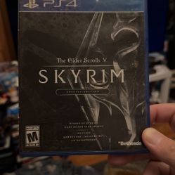 Skyrim 