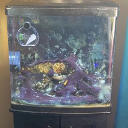 32 Gal Biocube 