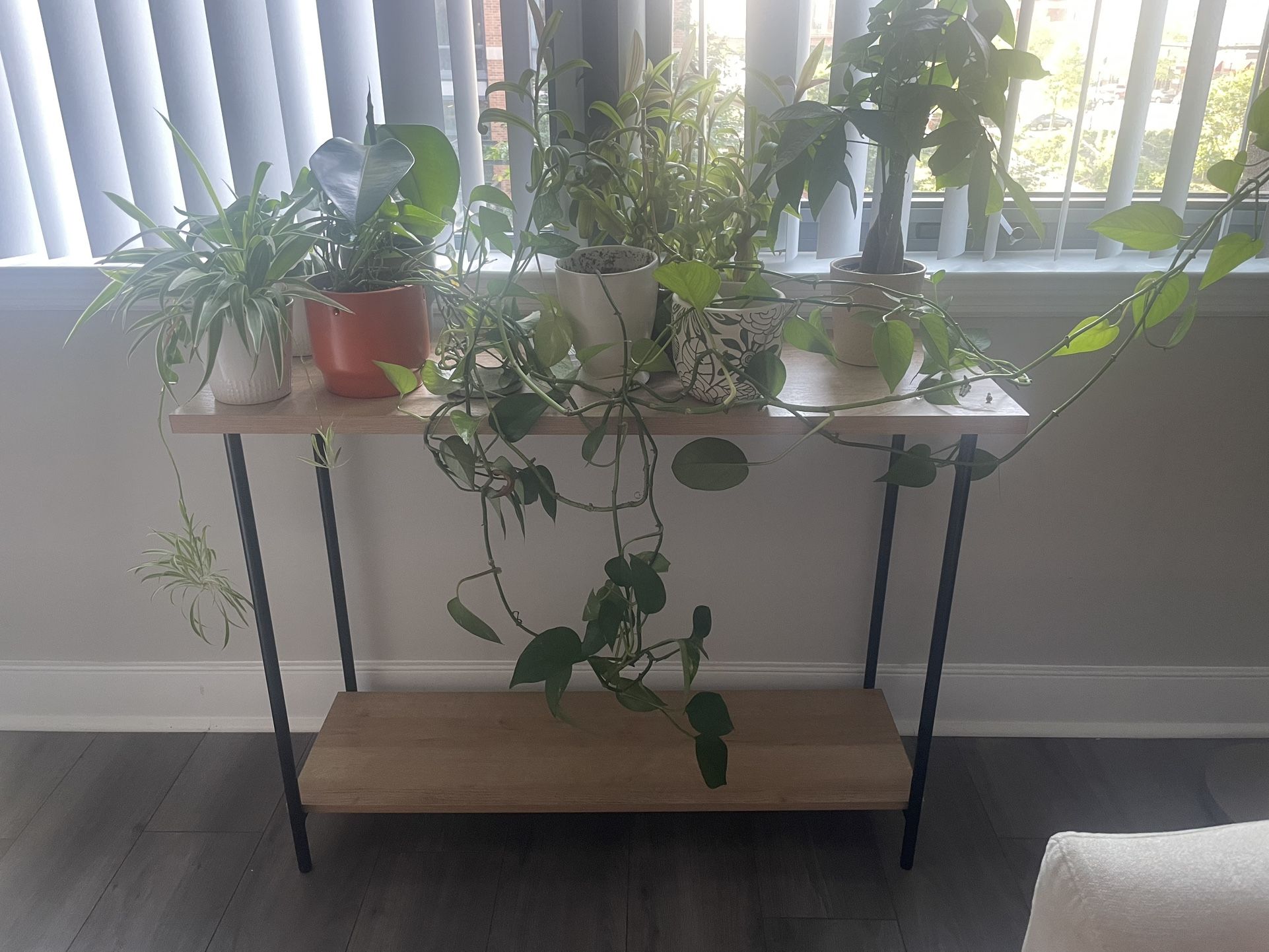 2 Tier Wooden Console Table