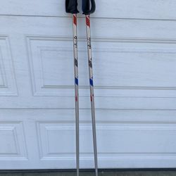 Man’s Ski Pole 46”