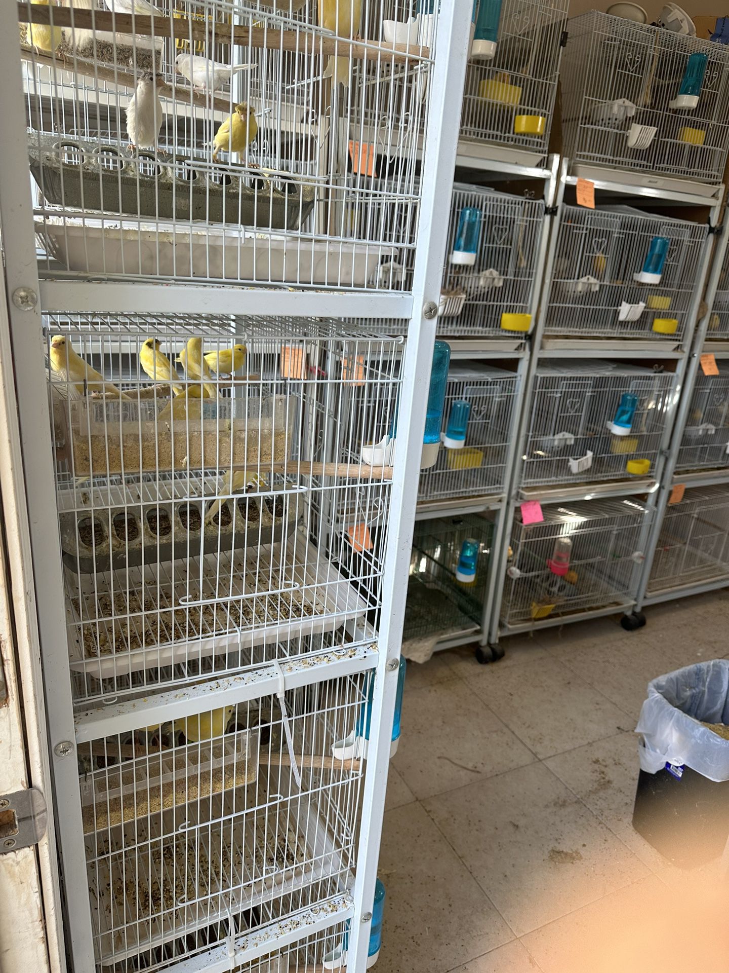 Cages For Canaries