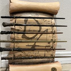 Harry Potter dumbledore army wand collection