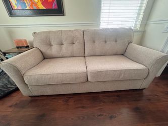 Bears Furniture Couch