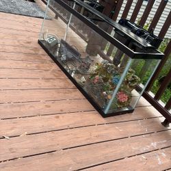 Fish Accessories