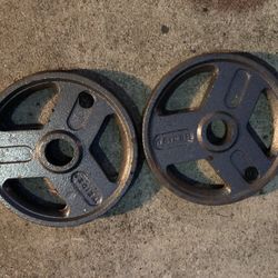 Pair of Gripper Steel Olympic 35 Lb Plate 