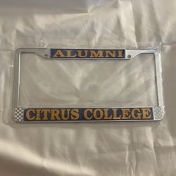 Citrus License Plate Frame