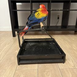 Parrot Stand