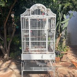 Bird Cage