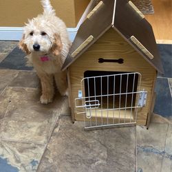 Wooden Pet House With Roof