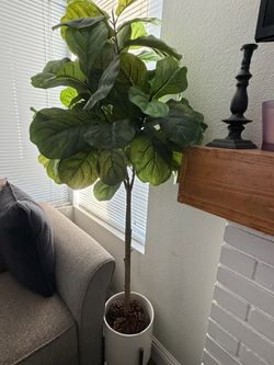 Fake plants 10 each