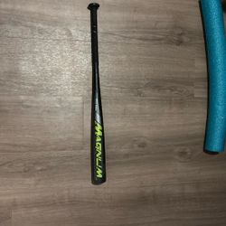 baseball bat 