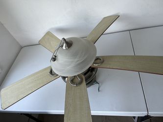 2 Ceiling Fans