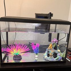 5 Gallon Fish Tank