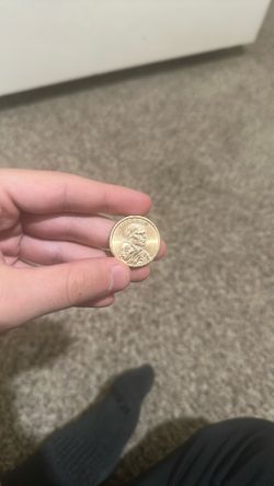 1 Dollar Coin