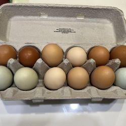 Organic Farm Fresh Eggs