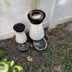 Dog Feeding Two For 10 Dollars 