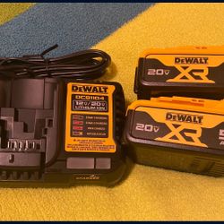 DEWALT 20-V 2-Pack Lithium-ion Battery and Charger(5 Ah)