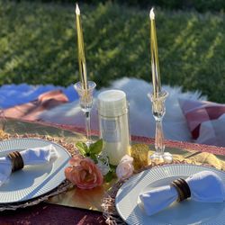 Picnic Setup -Indoor Or Outdoor 