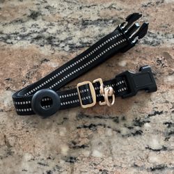 Dog Collar With AirTag Holder