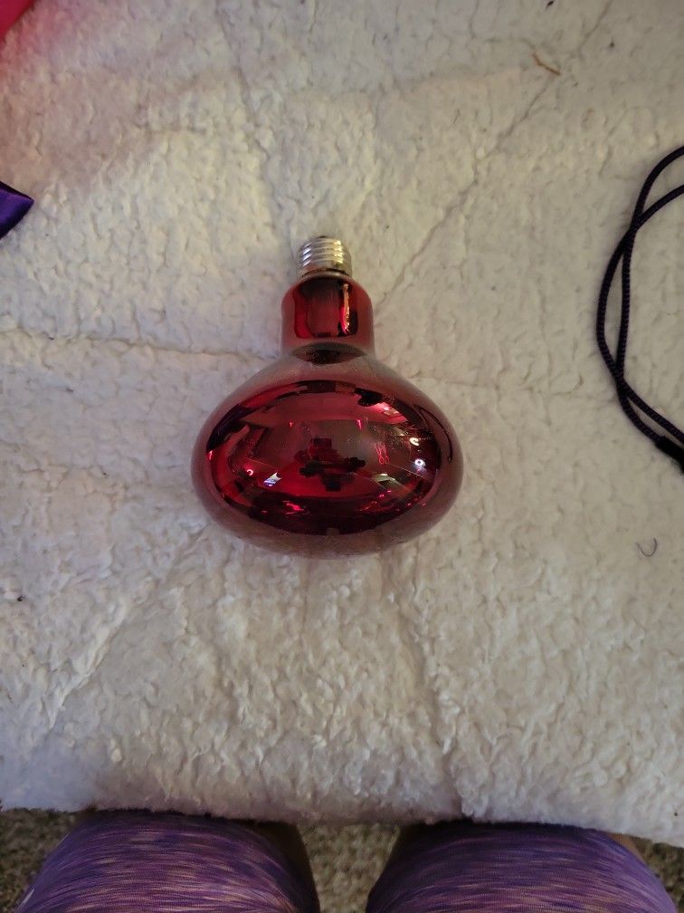 Physiotherapy Heating Bulb