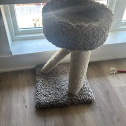 cat scratch post 