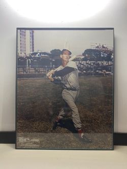 Ted Williams “Picture” 8 X 10